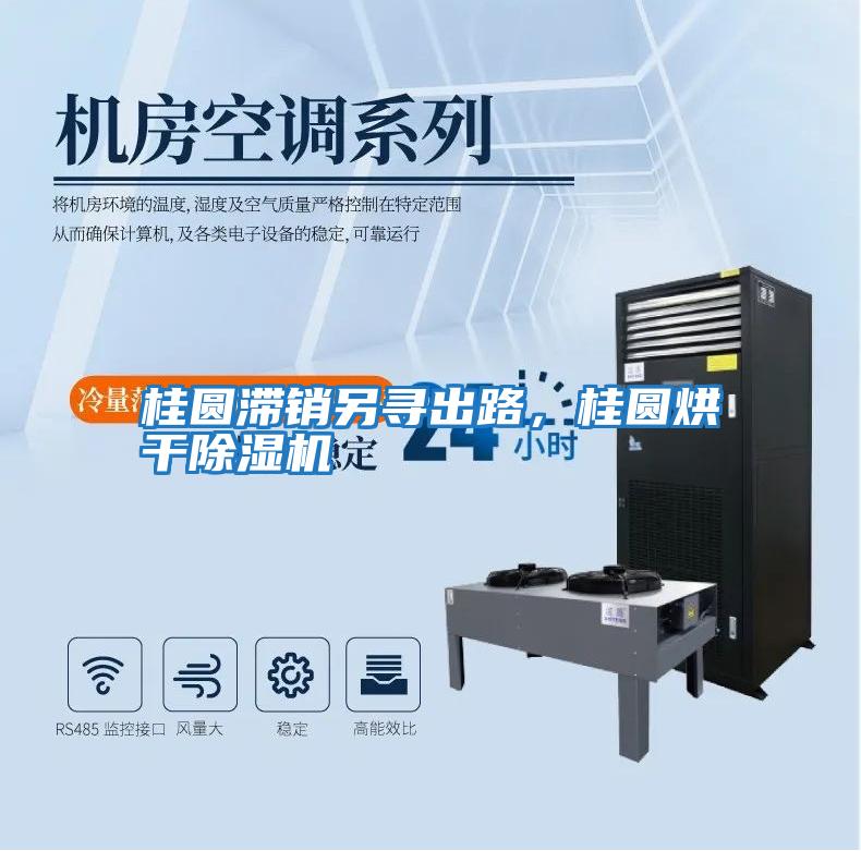 桂圓滯銷另尋出路,桂圓烘干除濕機(jī)