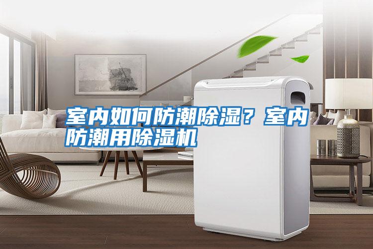 室內如何防潮除濕？室內防潮用除濕機