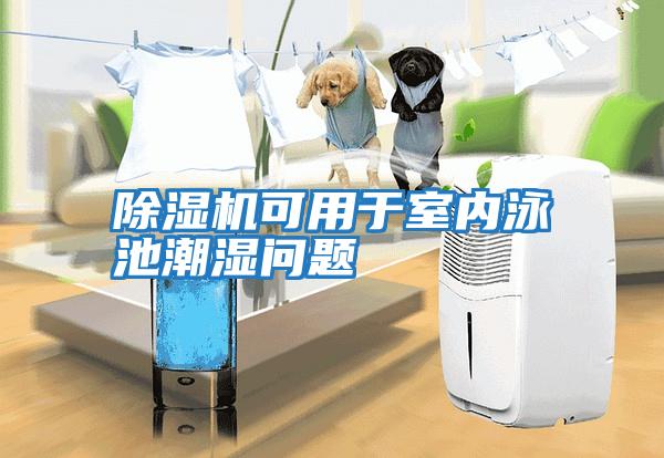 除濕機可用于室內泳池潮濕問題