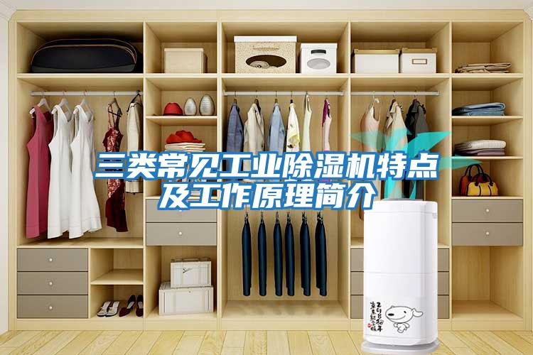 三類常見工業除濕機特點及工作原理簡介