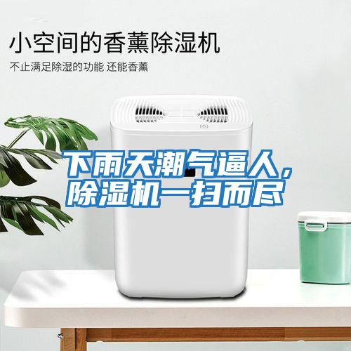 下雨天潮氣逼人，除濕機(jī)一掃而盡