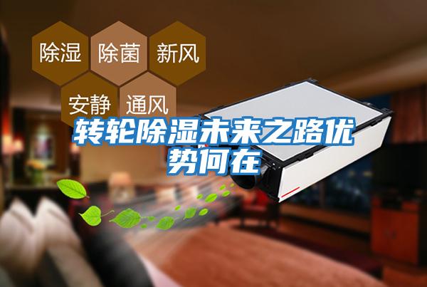 轉(zhuǎn)輪除濕未來之路優(yōu)勢(shì)何在