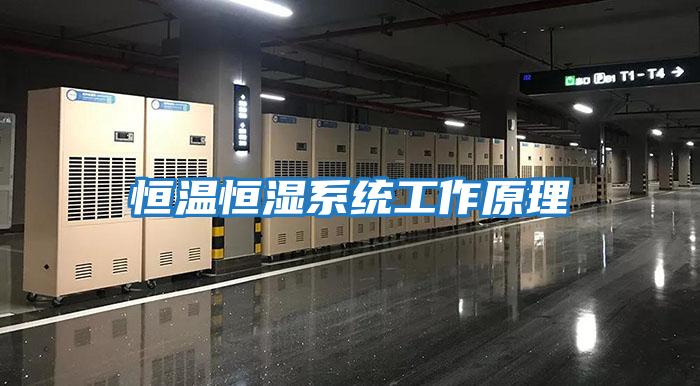 恒溫恒濕系統工作原理