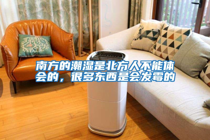 南方的潮濕是北方人不能體會的，很多東西是會發霉的