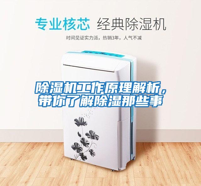 除濕機(jī)工作原理解析,帶你了解除濕那些事