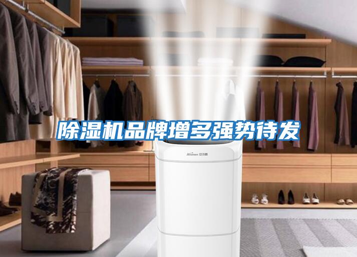 除濕機品牌增多強勢待發