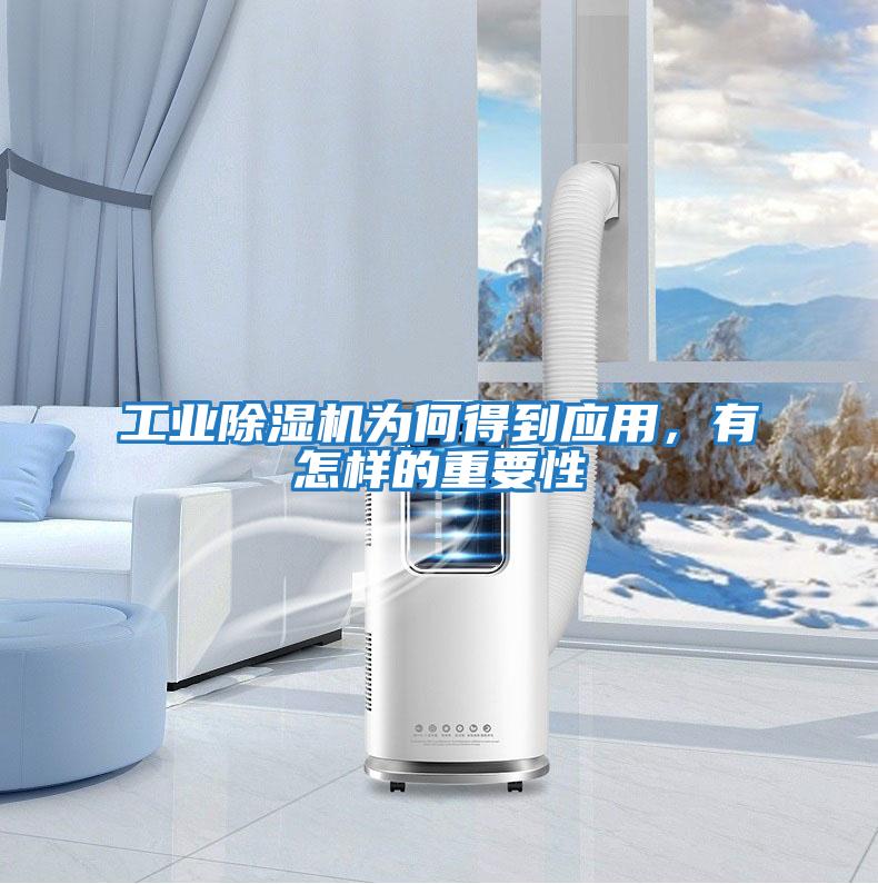 工業除濕機為何得到應用，有怎樣的重要性