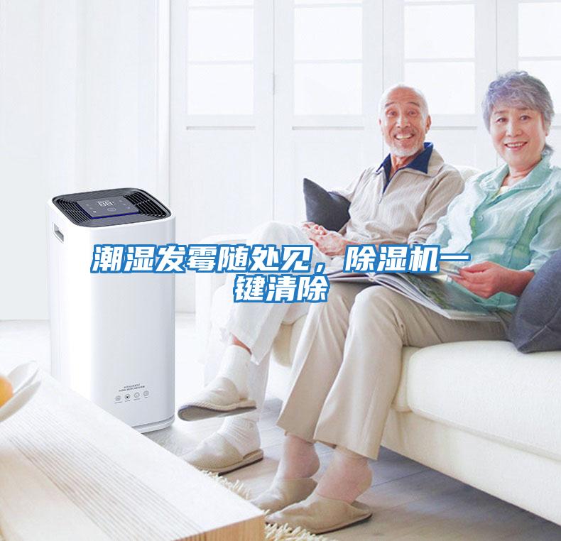 潮濕發霉隨處見，除濕機一鍵清除