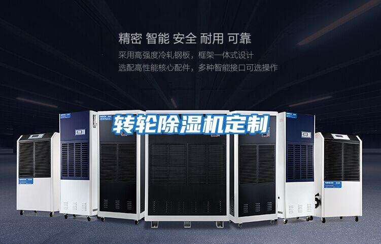 轉輪除濕機定制