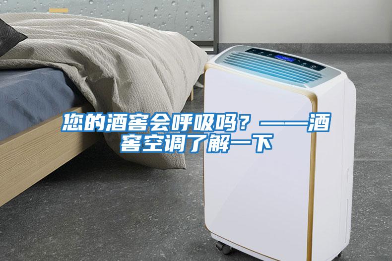 您的酒窖會呼吸嗎？——酒窖空調了解一下