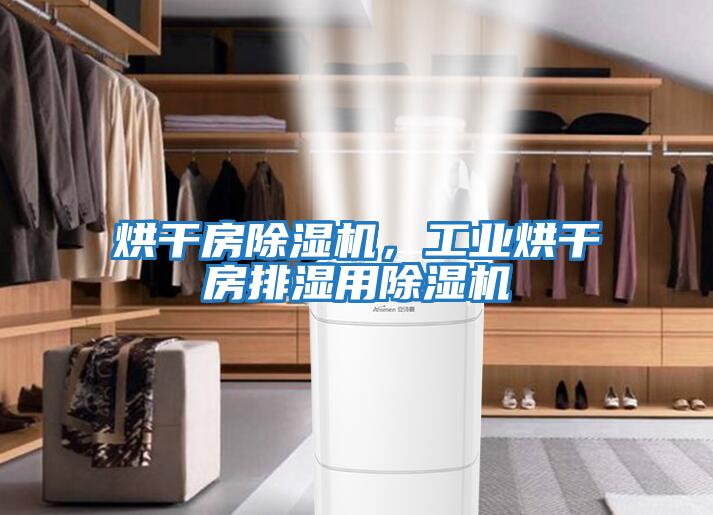 烘干房除濕機，工業(yè)烘干房排濕用除濕機