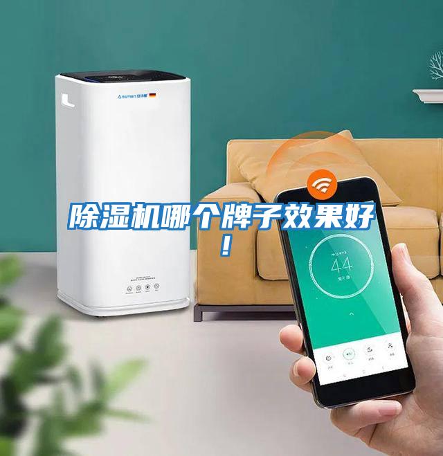 除濕機哪個牌子效果好！