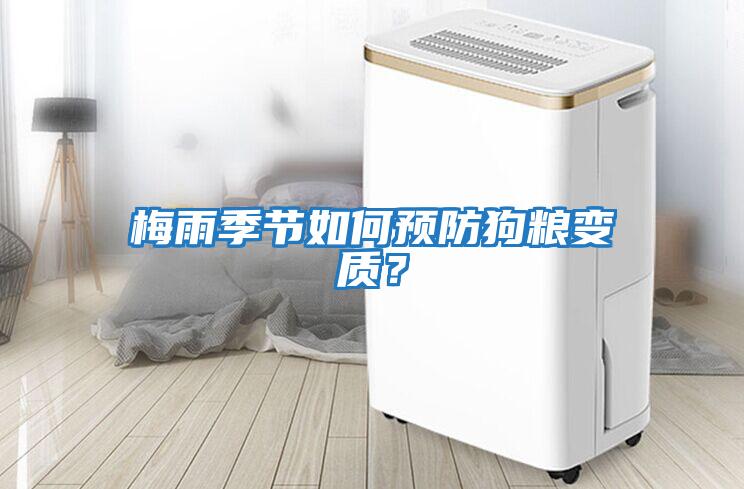 梅雨季節如何預防狗糧變質？