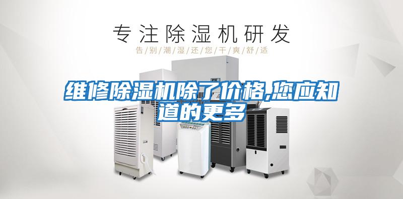 維修除濕機除了價格,您應(yīng)知道的更多