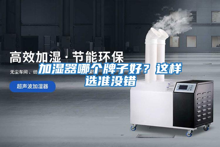 加濕器哪個牌子好？這樣選準沒錯