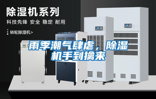 雨季潮氣肆虐，除濕機手到擒來