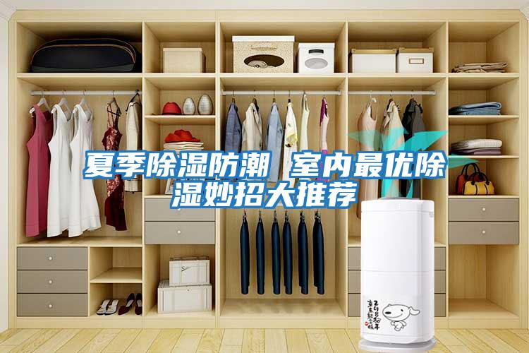 夏季除濕防潮 室內最優除濕妙招大推薦
