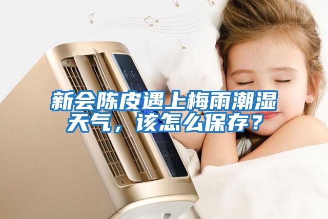 新會陳皮遇上梅雨潮濕天氣，該怎么保存？