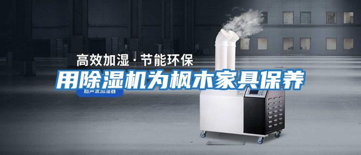 用除濕機為楓木家具保養