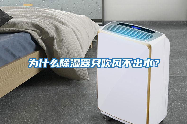 為什么除濕器只吹風不出水?