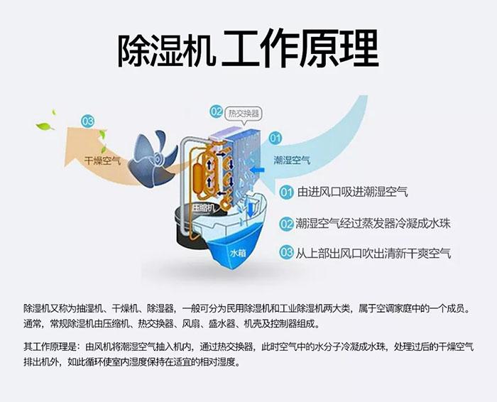 未來十年除濕機模型系統新型走向