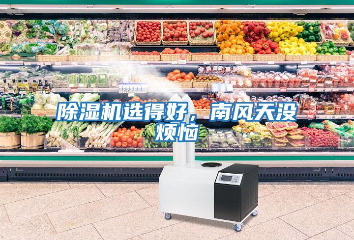 除濕機選得好,南風天沒煩惱