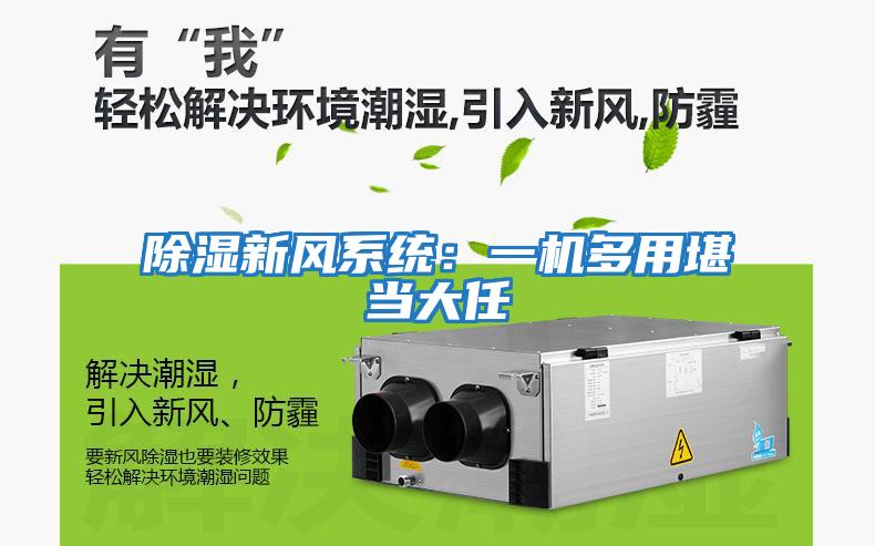 除濕新風(fēng)系統(tǒng)：一機多用堪當(dāng)大任