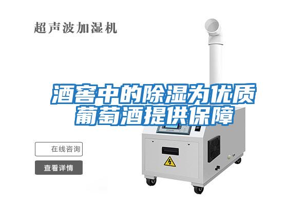 酒窖中的除濕為優質葡萄酒提供保障