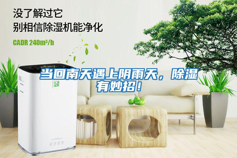 當回南天遇上陰雨天，除濕有妙招！