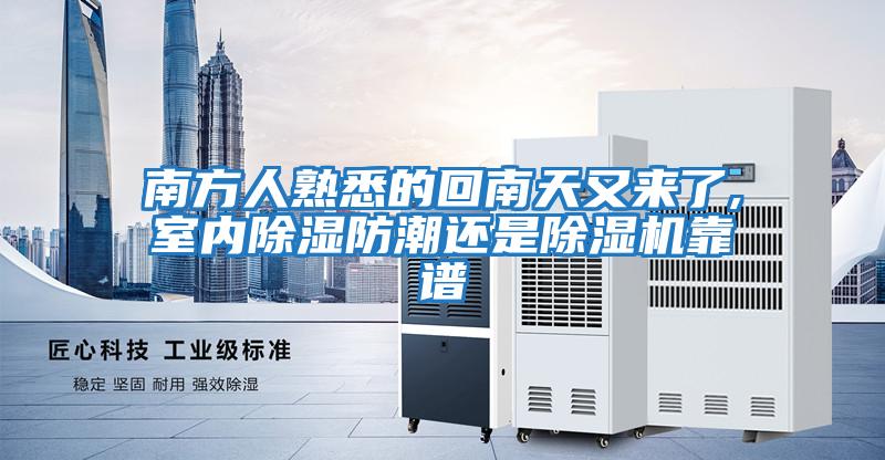 南方人熟悉的回南天又來了,室內除濕防潮還是除濕機靠譜