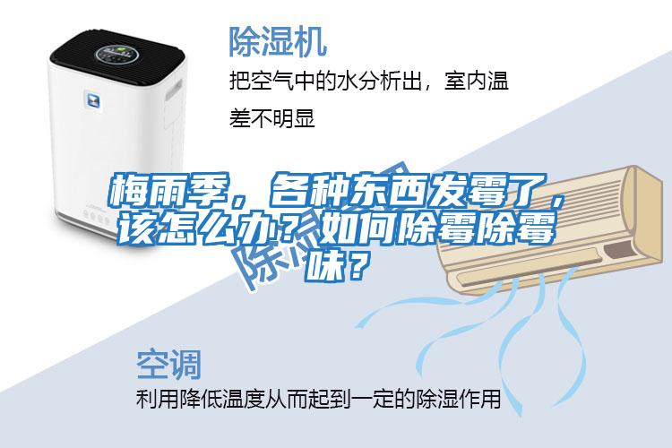 梅雨季，各種東西發霉了，該怎么辦？如何除霉除霉味？
