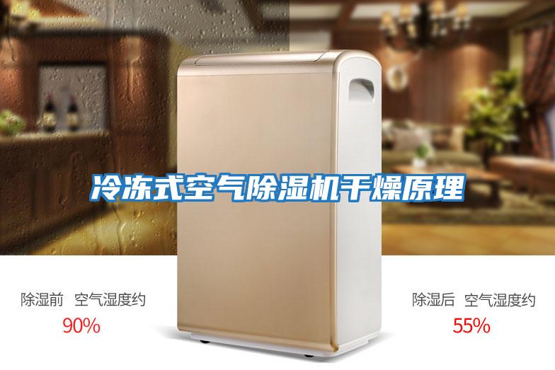 冷凍式空氣除濕機干燥原理