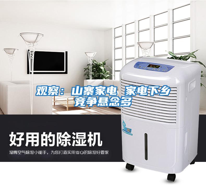 觀察：山寨家電 家電下鄉競爭懸念多
