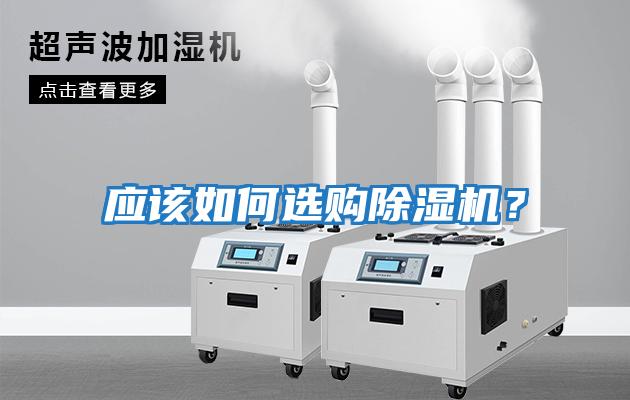 應該如何選購除濕機？