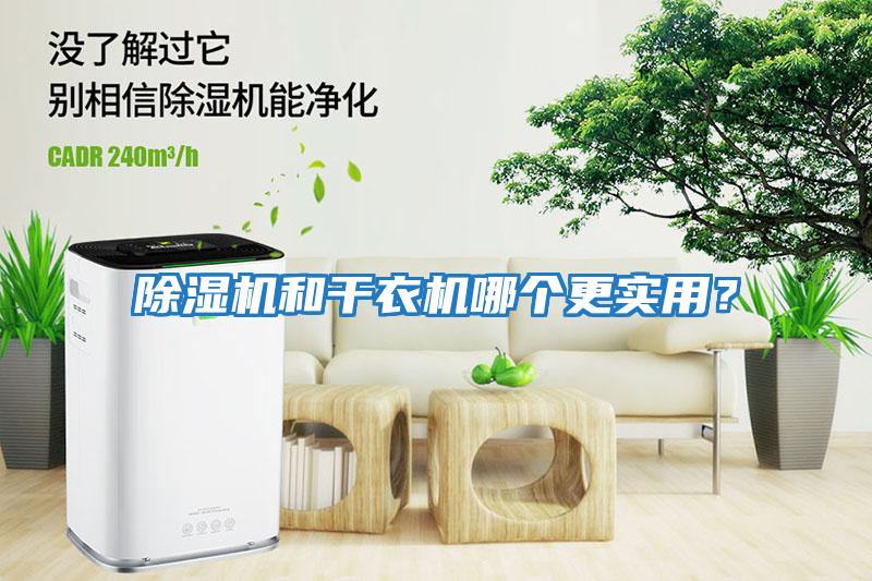 除濕機和干衣機哪個更實用？
