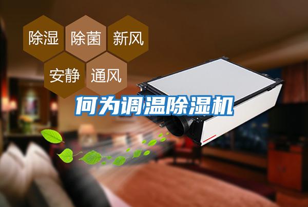 何為調溫除濕機