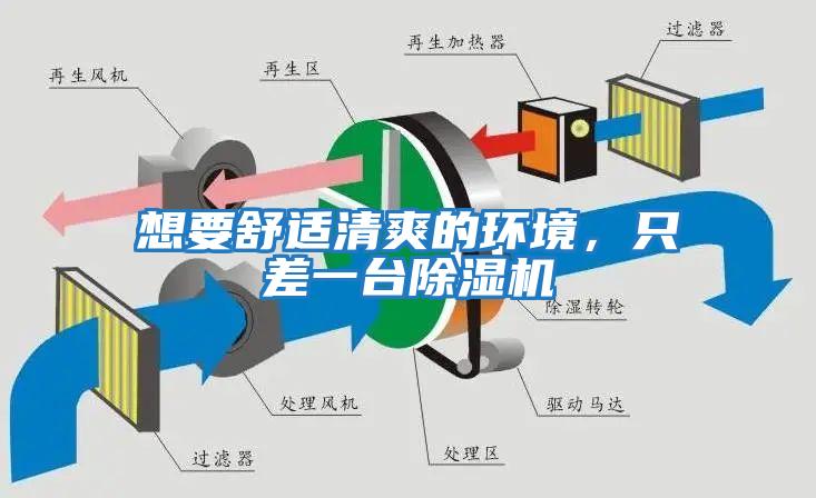想要舒適清爽的環境，只差一臺除濕機