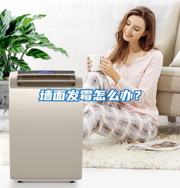 墻面發(fā)霉怎么辦？
