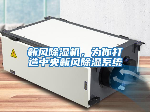 新風除濕機,為你打造中央新風除濕系統