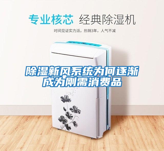 除濕新風系統為何逐漸成為剛需消費品