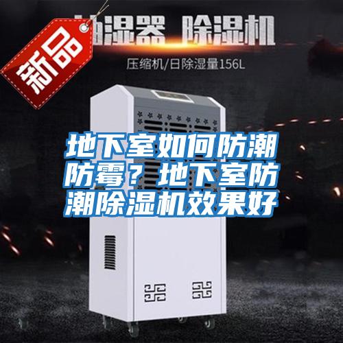 地下室如何防潮防霉？地下室防潮除濕機效果好