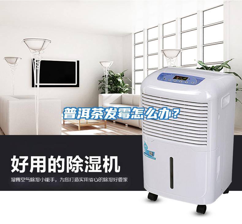 普洱茶發霉怎么辦?