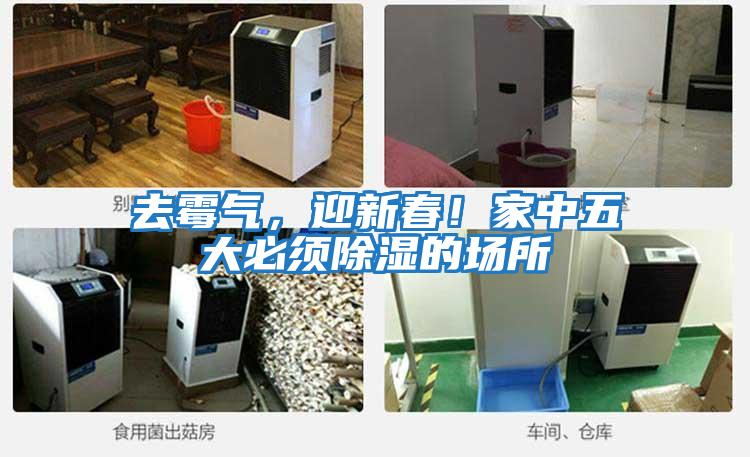 去霉氣，迎新春！家中五大必須除濕的場所