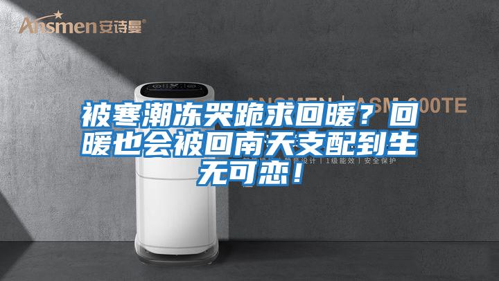被寒潮凍哭跪求回暖?回暖也會被回南天支配到生無可戀!