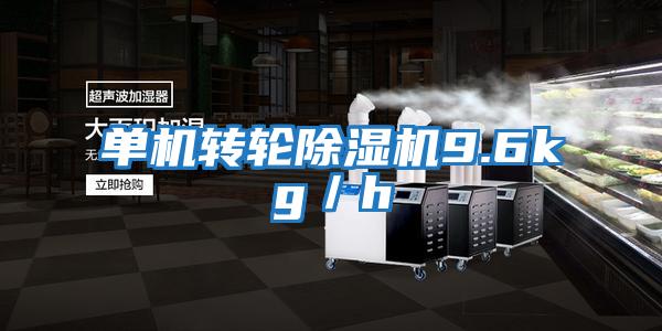 單機轉輪除濕機9.6kg／h