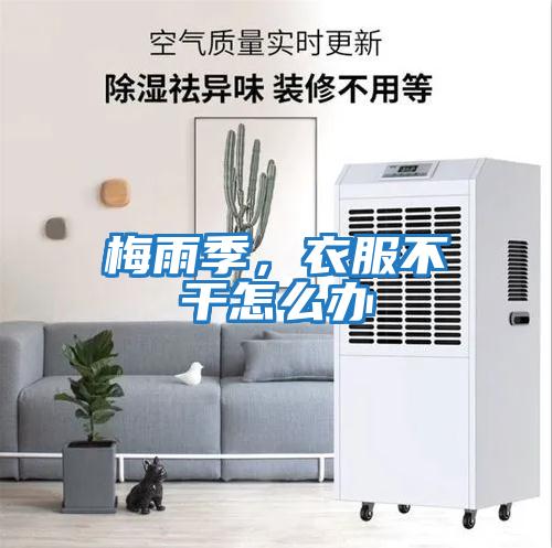 梅雨季,衣服不干怎么辦