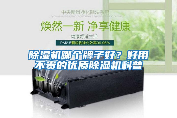 除濕機哪個牌子好？好用不貴的優(yōu)質除濕機科普