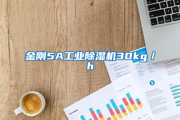 金剛5A工業除濕機30kg／h