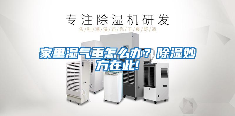 家里濕氣重怎么辦？除濕妙方在此!