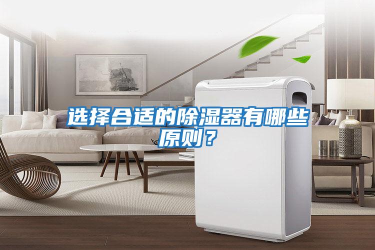 選擇合適的除濕器有哪些原則？
